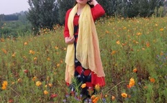 bt天堂网.www在线资源